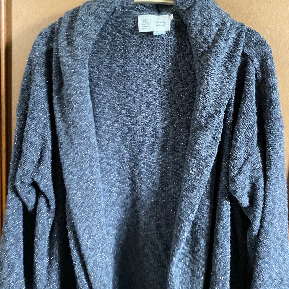 Anthropologie Saturday Sunday Metallic Glitter Hooded Cardigan Size M/L - Picture 3 of 6